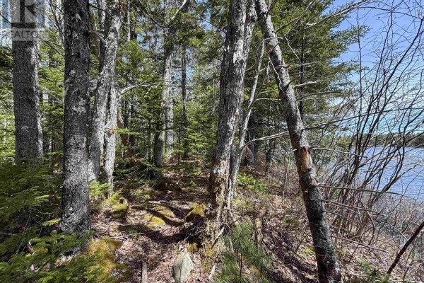 Lot 6-23 Highway 325, West Clifford, NS B4V8H3 Photo 3