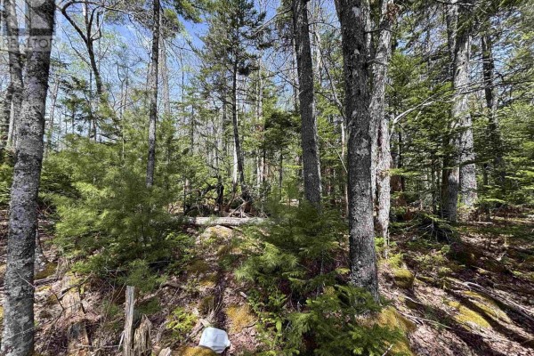 Lot 6-23 Highway 325, West Clifford, NS B4V8H3 Photo 4