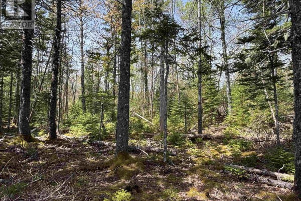 Lot 6-23 Highway 325, West Clifford, NS B4V8H3 Photo 5