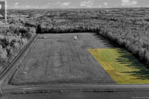 Lot 6 Bois Joli Road, Bouctouche, NB E4S2X1 Photo 4