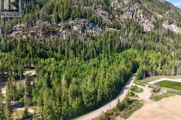 Lot 6 Cambie-solsqua Road, Sicamous, BC V0E2V5 Photo 4