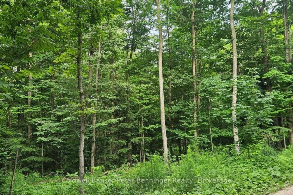 Lot 6 Concession 12 Ndr Bentinck, West Grey, ON, photo 3