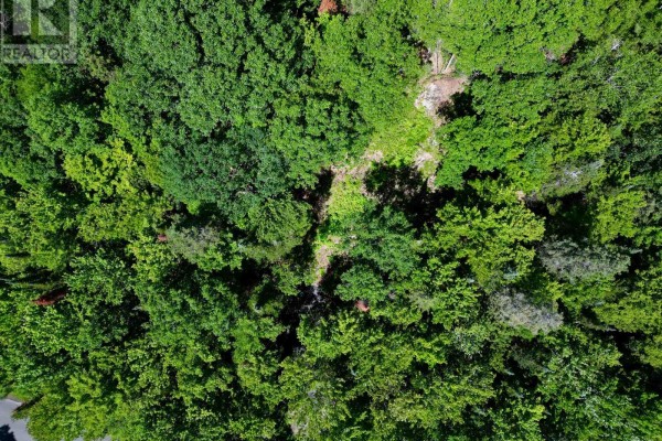 Lot 6 Fairy Falls Road, Lake Of Bays, ON, photo 3