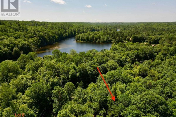 Drone shot looking down on a tree-lined property with a lake visible beyond. - Lot 6 Fairy Falls Road, Lake Of Bays