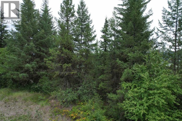 Lot 6 Francess Drive, Quesnel, BC V2J6H6 Photo 3