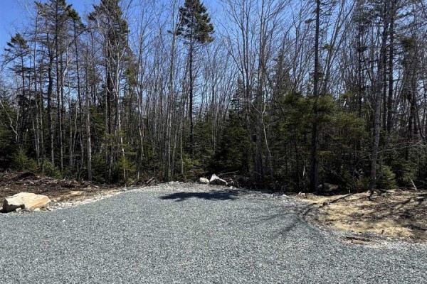 Lot 6 Highway 3, Summerville Heights, Summerville Centre, NS B0T1T0 Photo 3