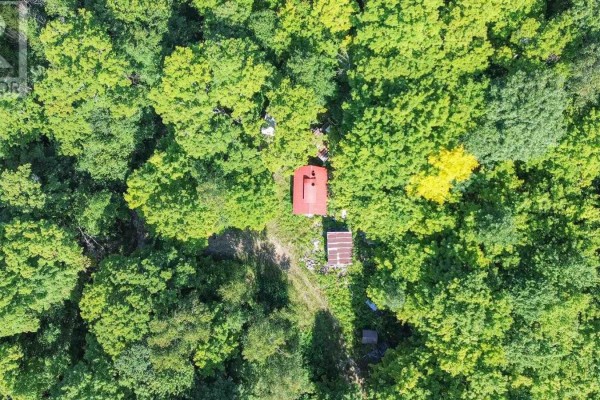 Rustic log cabin with a weathered wooden facade and a bright red metal roof in the snow. - Lot 6 Hilton Rd, Jocelyn Township