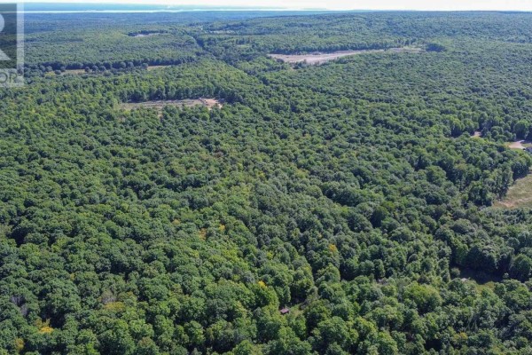 Small wooden outbuilding with a brown metal roof, situated in a snowy landscape with trees. - Lot 6 Hilton Rd, Jocelyn Township