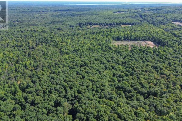 Interior of a wooden building with stainless steel maple syrup processing equipment and large metal barrels. - Lot 6 Hilton Rd, Jocelyn Township