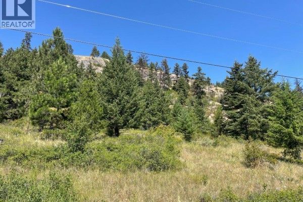 Lot 6 Hulme Creek Road, Rock Creek, BC V0H1Y0 Photo 2