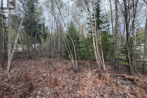 Lot 6 Mcbride Road, Blind Bay, BC V0E1H1 Photo 4