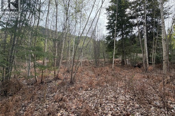 Lot 6 Mcbride Road, Blind Bay, BC V0E1H1 Photo 5