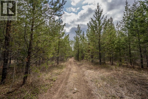 Dirt track through a forest with tall pine trees and dry grass. - Lot 6 Park Place, Lac La Hache