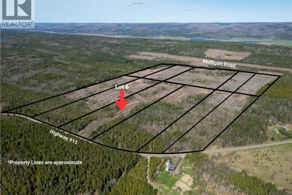 Lot 6 Route 915, Upper New Horton, NB E3H3T4 Photo 5
