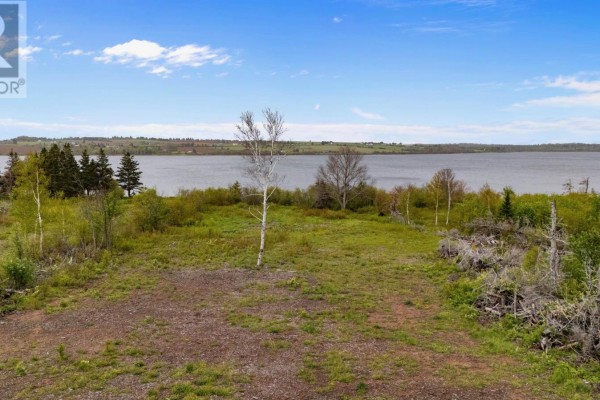 Cleared lot with patchy grass and a few trees, overlooking a wide expanse of water. - Lot 6 Sonora Road, St  Peters Bay
