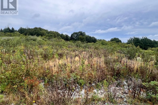 Lot 6 Southside Place, Bay Roberts, NL A0A1X0 Photo 3