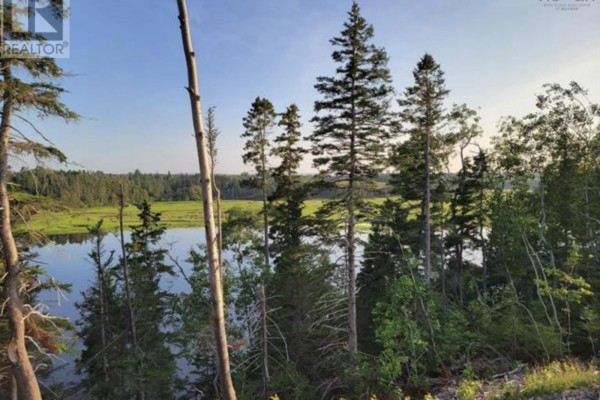 Lot 6 Tattrie Settlement Road, French River, NS B0K1V0 Photo 4
