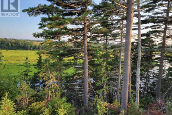 Lot 6 Tattrie Settlement Road, French River, NS B0K1V0 Photo 5