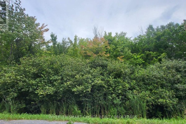 Lot 6 Tolmies Corners Road, North Stormont, ON K0C1V0 Photo 2