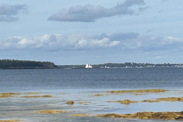 Lot 6-f-a Middle Road, Kingsburg, NS B0J2X0 Photo 2