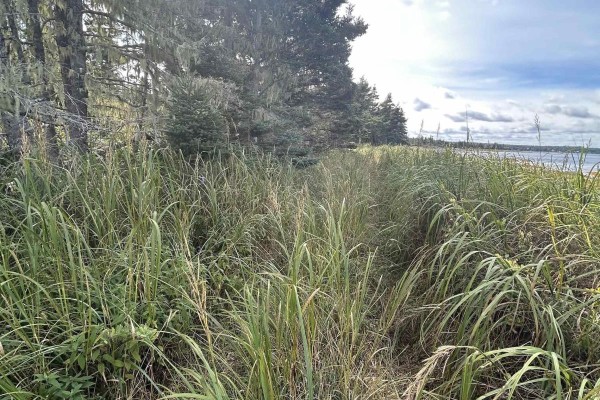 Lot 6-f-a Middle Road, Kingsburg, NS B0J2X0 Photo 4
