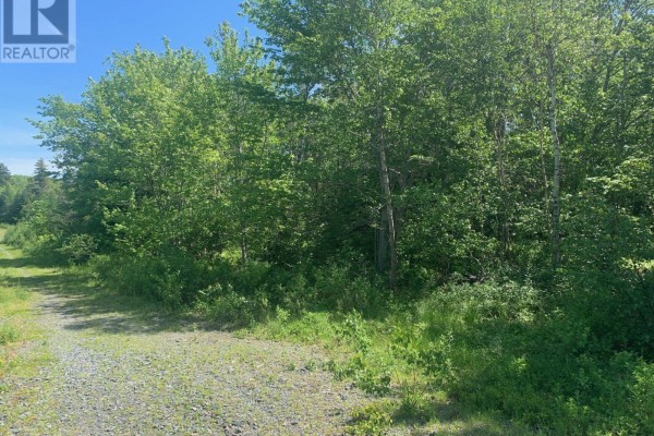 Lot 609-a White Hills Run, Hammonds Plains, NS B4B1W7 Photo 5