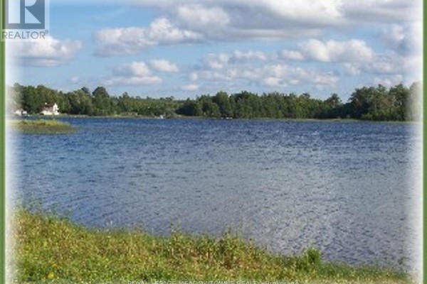 Lot 67 Brewester's Lake Road, Grey Highlands, ON N0C1M0 Photo 4