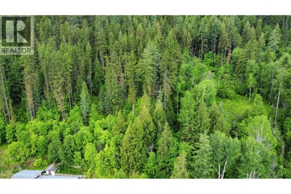 Aerial view of a dense, green forest with varied tree heights and a house on the left. - Lot 7 Arrow Lakes Drive, Castlegar