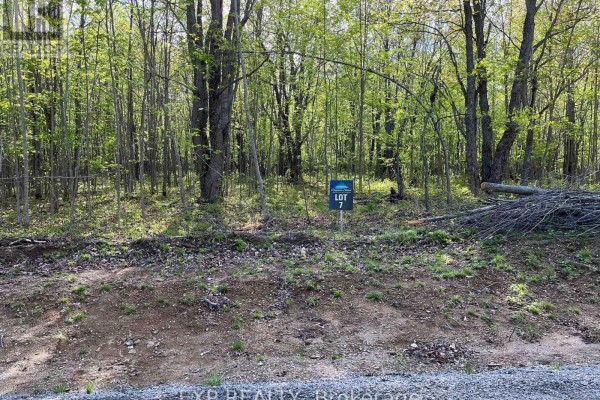 Lot 7 Casson Trail, Madawaska Valley, ON K0J1B0 Photo 4