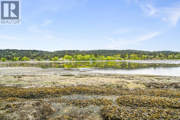 Lot 7 Driftwood Dr, Mudge Island, BC A1A1A1 Photo 5