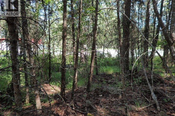Lot 7 Eagle Ridge Road, Grand Forks, BC, photo 3
