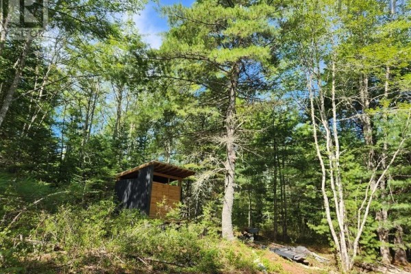 Lot 7 East Clifford Road, East Clifford, NS B0R1E0 Photo 5