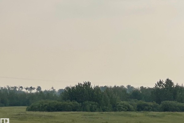 A hazy, pale sky above a dense treeline and a field of green grass. - Lot 7 Highway 36 Twp 544a, Rural Two Hills County