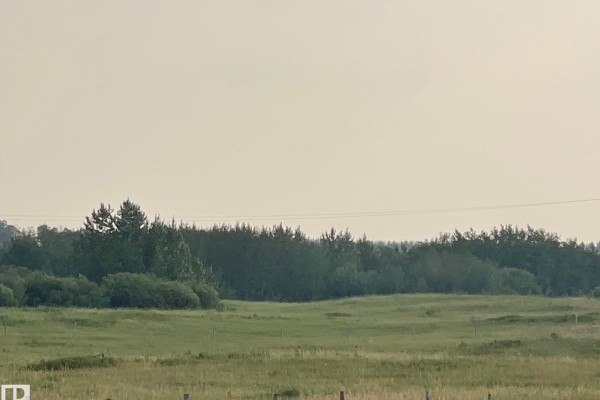 Green fields stretch towards a dense treeline under a hazy, light-colored sky. - Lot 7 Highway 36 Twp 544a, Rural Two Hills County