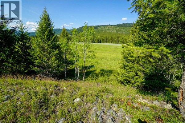 Lot 7 Mary G Road, Beaverdell, BC, photo 2