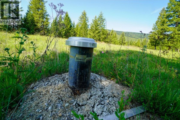 Lot 7 Mary G Road, Beaverdell, BC, photo 3