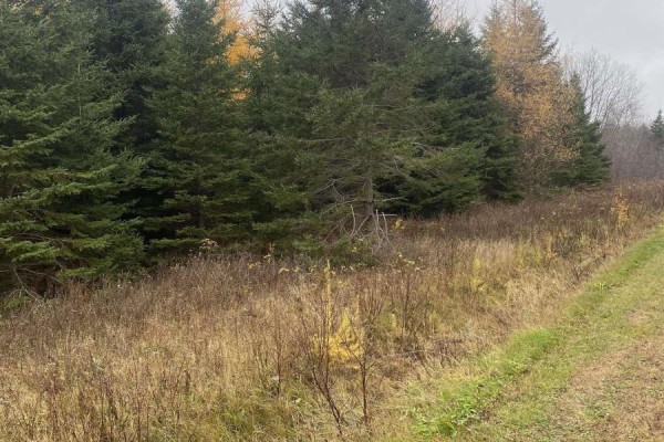 Lot 7 New Cheverie Road, Lower Burlington, NS B0N1E0 Photo 2