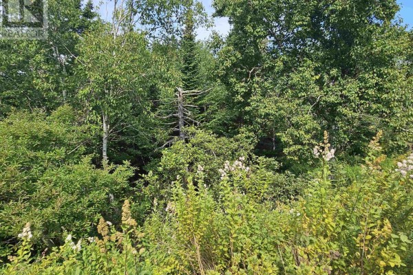 Lot 7 Prospect Road, West Dover, NS B3Z3S8 Photo 4