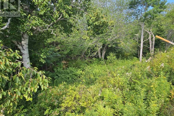 Lot 7 Prospect Road, West Dover, NS B3Z3S8 Photo 5