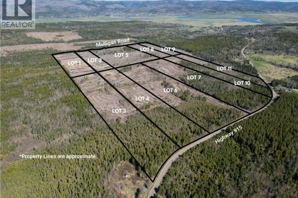 Lot 7 Route 915, Upper New Horton, NB E4H3T4 Photo 5