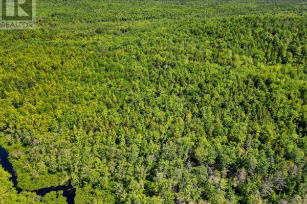 Lot 71 Hirtle Road, Maitland, NS B0J1E0 Photo 4