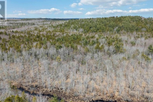 Lot 73 Hirtle Road, Maitland, NS B0J1E0 Photo 4
