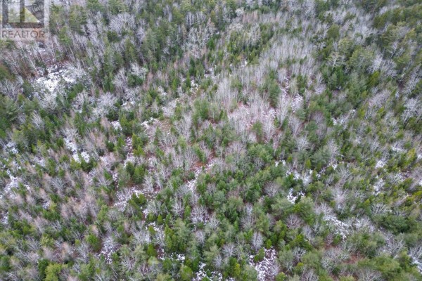 Lot 73 Judy Avenue, East Quinan, NS B0W3M0 Photo 2