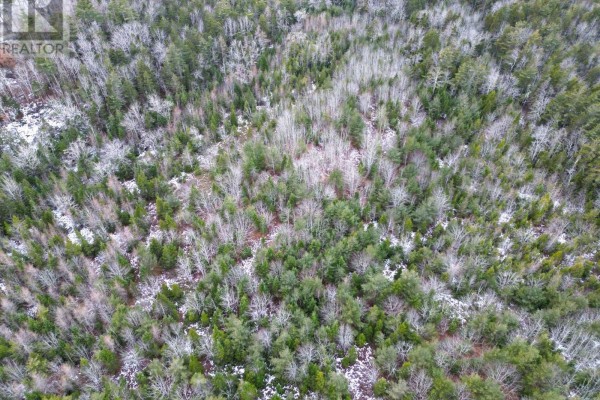 Lot 73 Judy Avenue, East Quinan, NS B0W3M0 Photo 3
