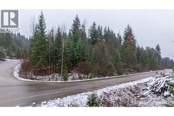 Lot 74 Sunset Drive, Eagle Bay, BC V0E1T0 Photo 3