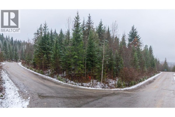 Lot 74 Sunset Drive, Eagle Bay, BC V0E1T0 Photo 4