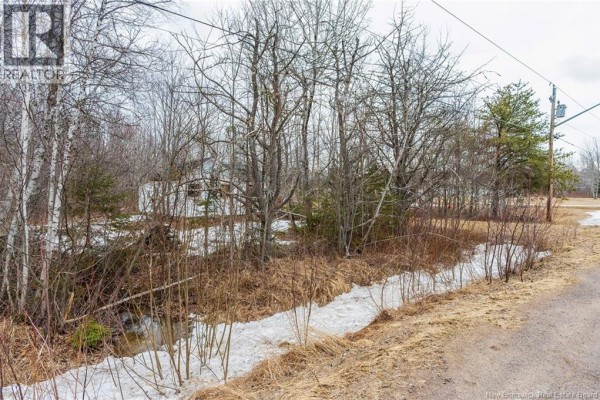 Lot 75-6 Petite Riviere, Aldouane, NB E4W5C1 Photo 5