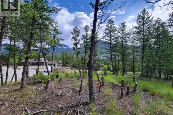 Lot 76 Copper Point Way, Windermere, BC V0B2L0 Photo 5