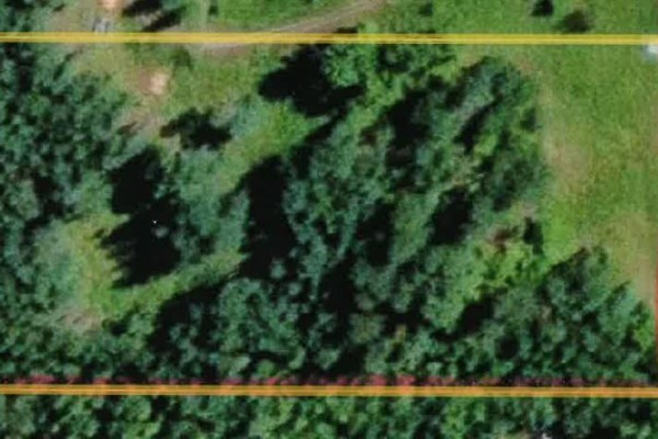 Lot 77 Bartley Road, Nakusp, BC V0G1R0 Photo 4