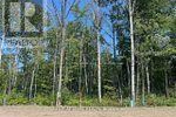 Lot 77 Mapleside Drive, Wasaga Beach, ON L9Z0L4 Photo 2